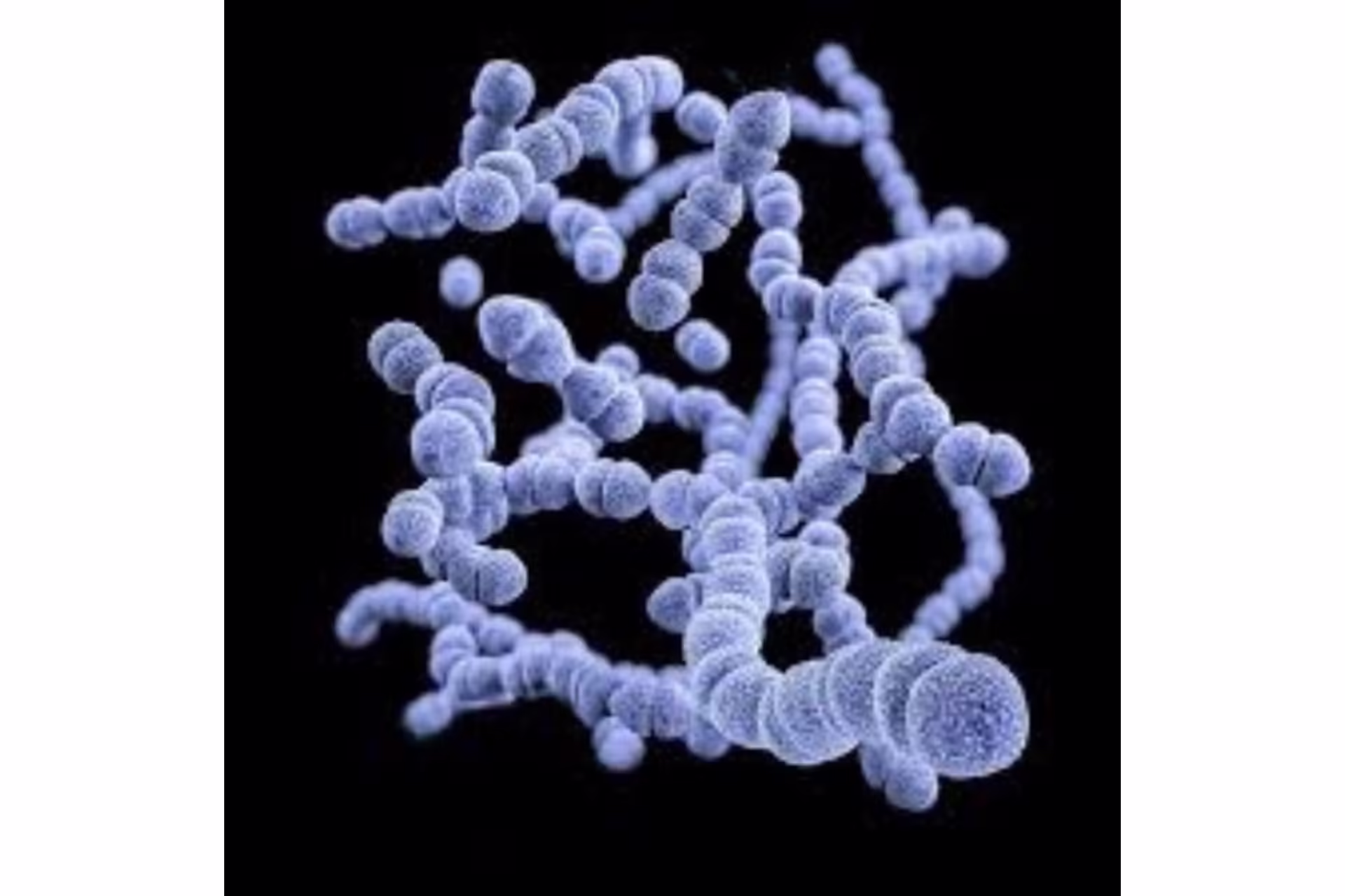 Flesh-eating bacteria japan